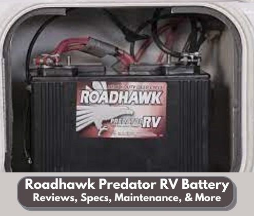 Roadhawk Predator RV Battery - Everything You Need To Know