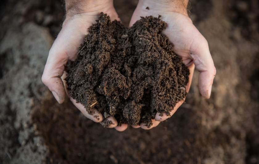 The 11 Best PlasticFree Loose Leaf Teas 2021 The Future is Plastic Free