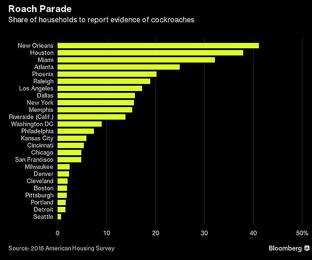 Which Cities Have the Most Rats, Mice and Cockroaches?
