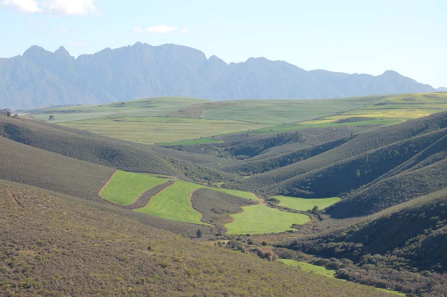 Porcupine Hills Naturally The Fynbos Guy