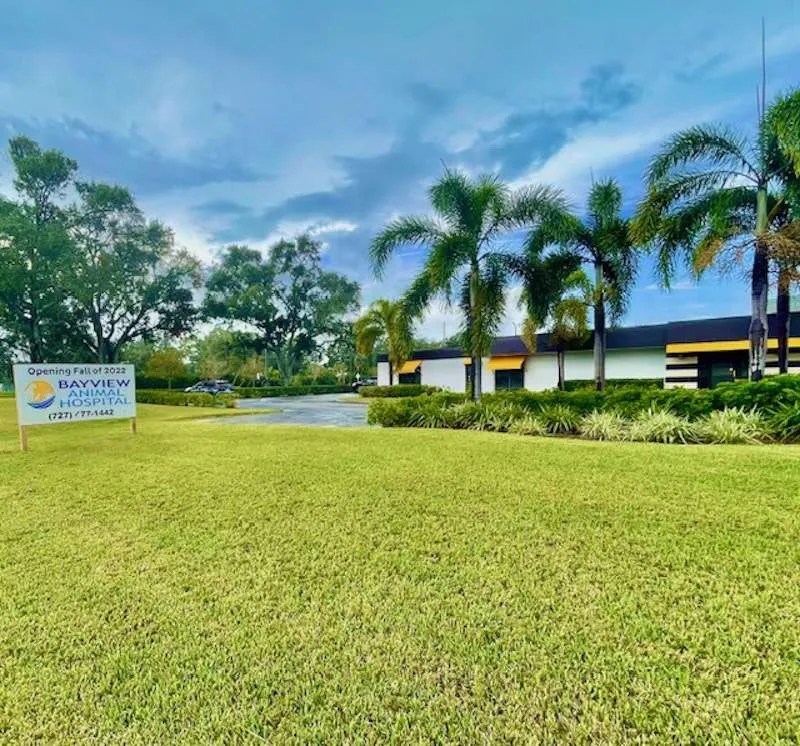 New Veterinarian Opens in South St. Pete The Gabber Newspaper