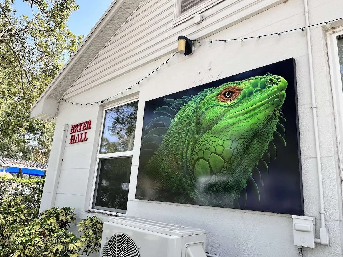 Kids Mixed Media Animal Collages Class The Gabber Newspaper