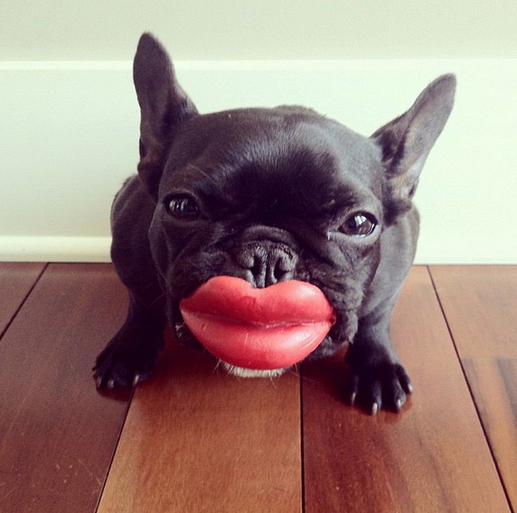 Humunga Lips Rubber Dog Toy » Gadget Flow