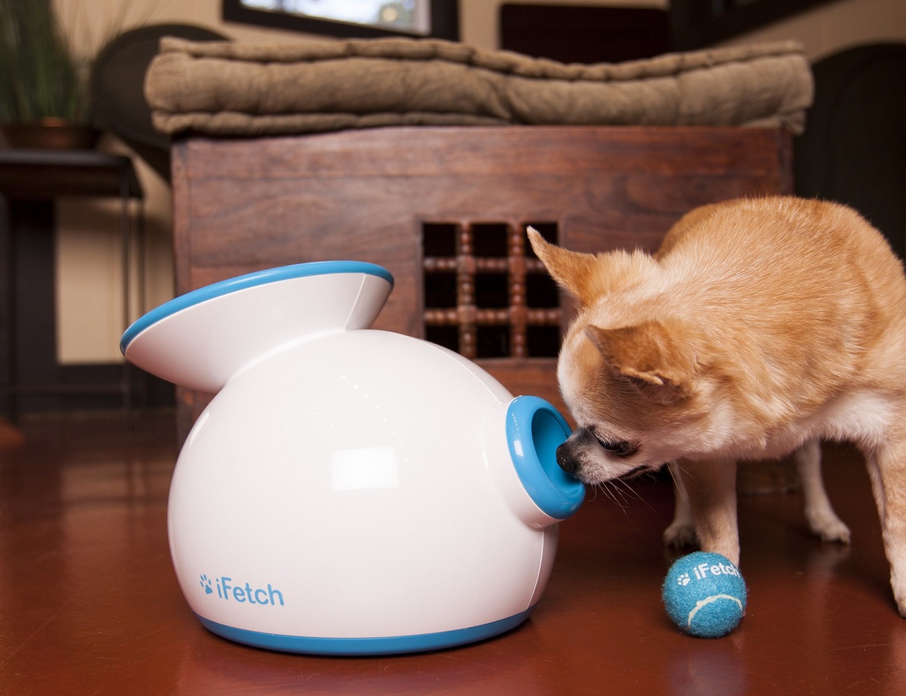 iFetch Interactive Ball Launcher » Gadget Flow