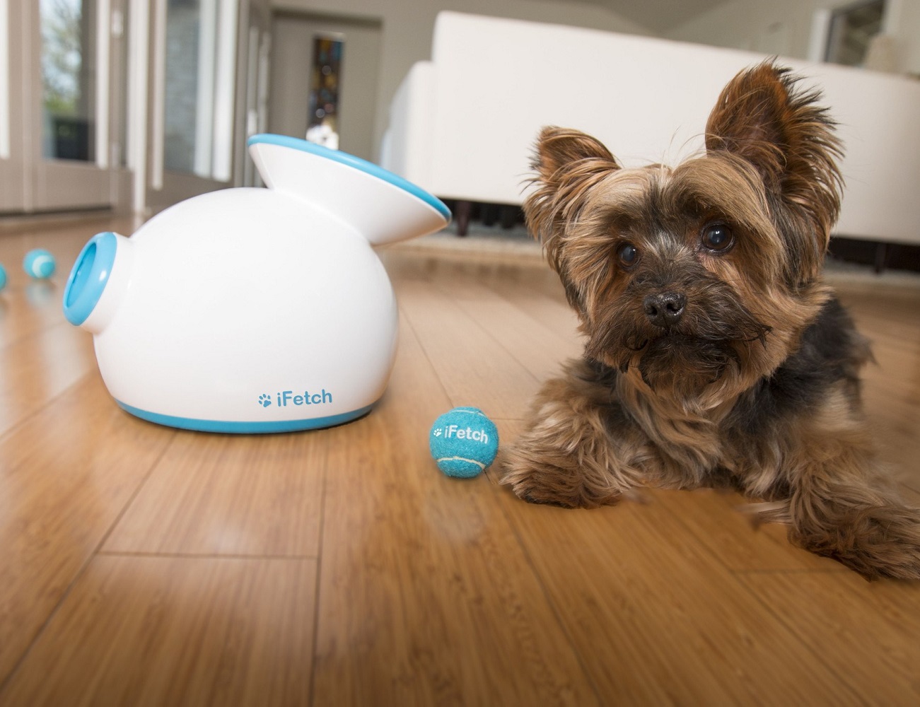iFetch Interactive Ball Launcher » Gadget Flow
