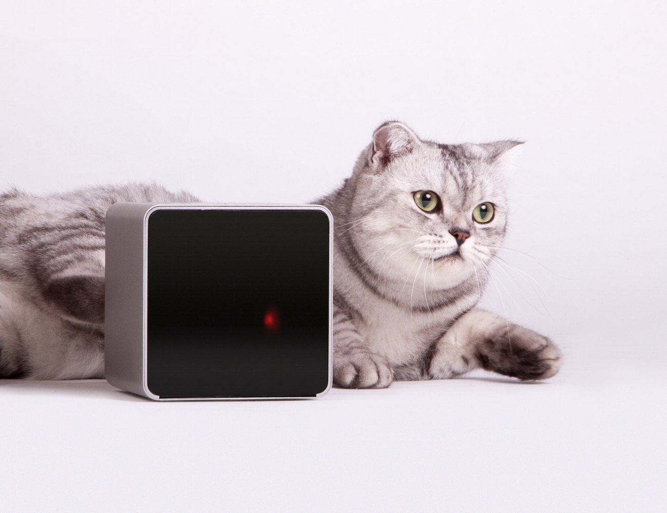 Petcube Remote Wireless Pet Camera » Gadget Flow