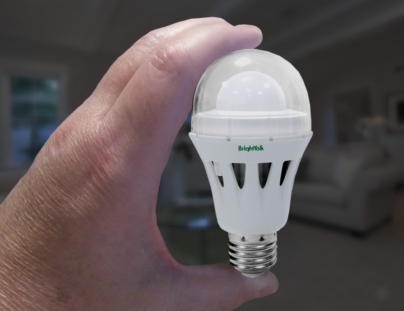 BrightYolk The World's First Replaceable Modular LED Light Bulb