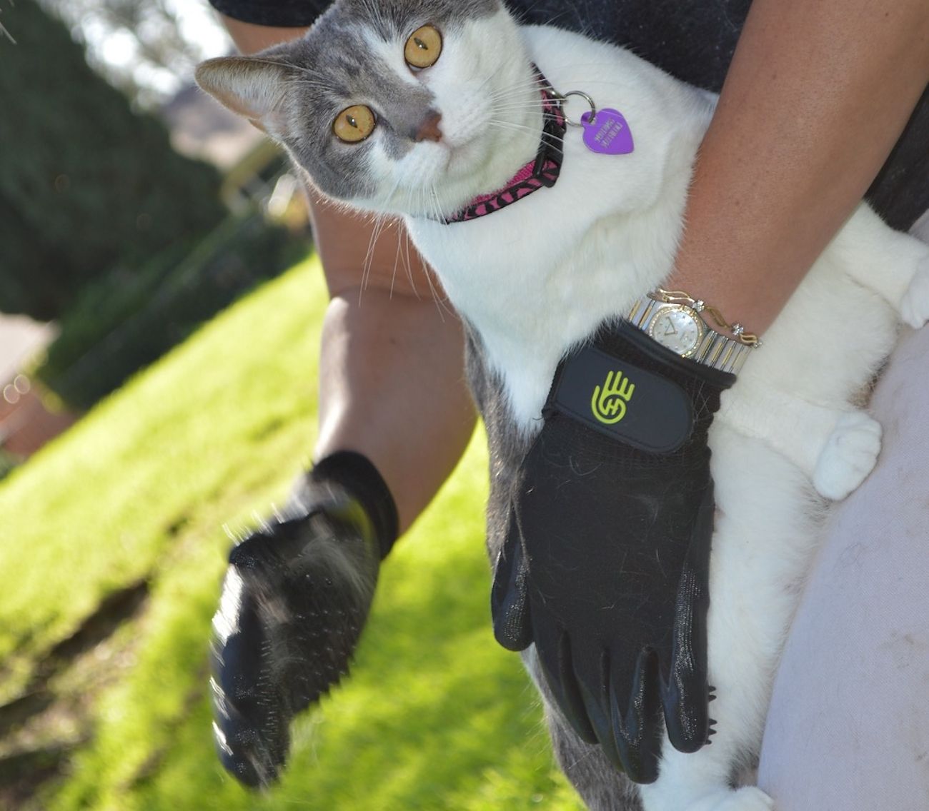 HandsOn Gloves Bathing or Grooming Solution for Your Pets » Gadget Flow