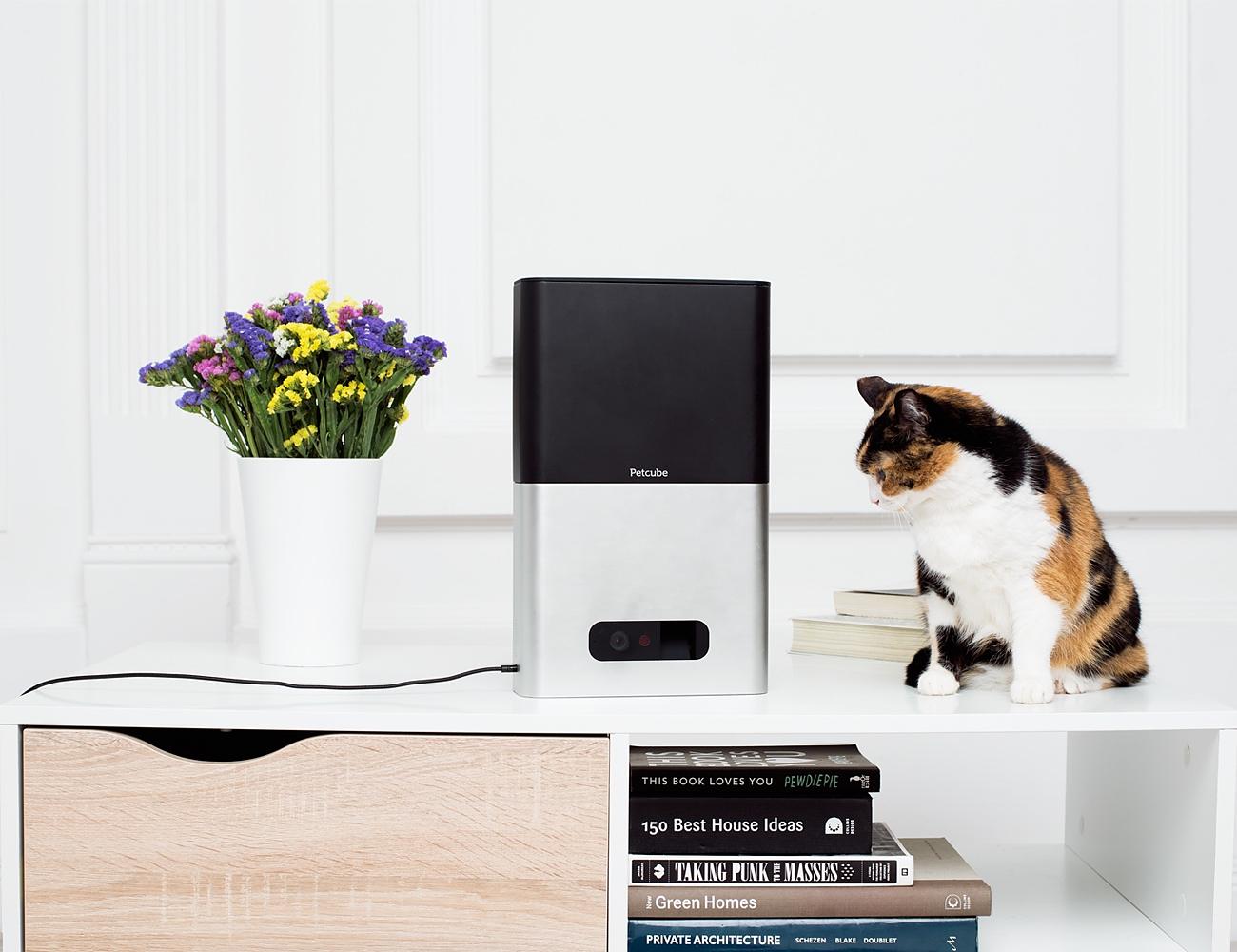 Petcube Bites + Petcube Play Treat & Care for Pets Remotely » Gadget Flow