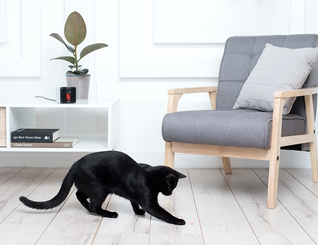 Petcube Bites + Petcube Play Treat & Care for Pets Remotely » Gadget Flow