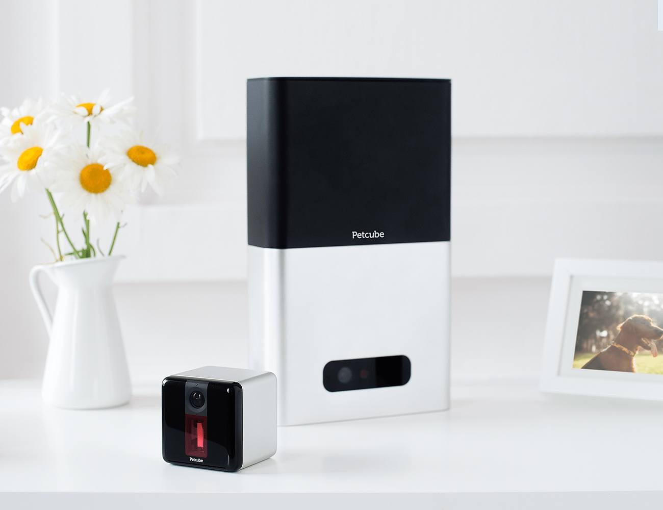 Petcube Bites + Petcube Play Treat & Care for Pets Remotely » Gadget Flow