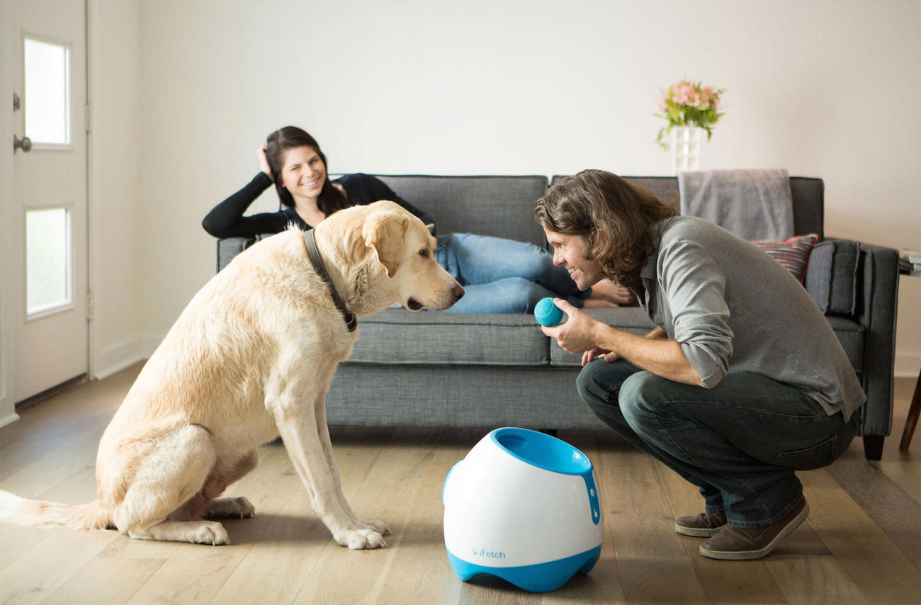 iFetch Too Interactive Ball Thrower for Large Dogs » Gadget Flow