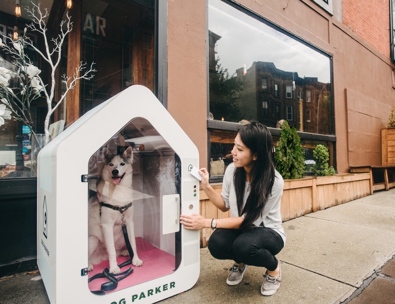 Dog Parker Smart Dog Houses » Gadget Flow