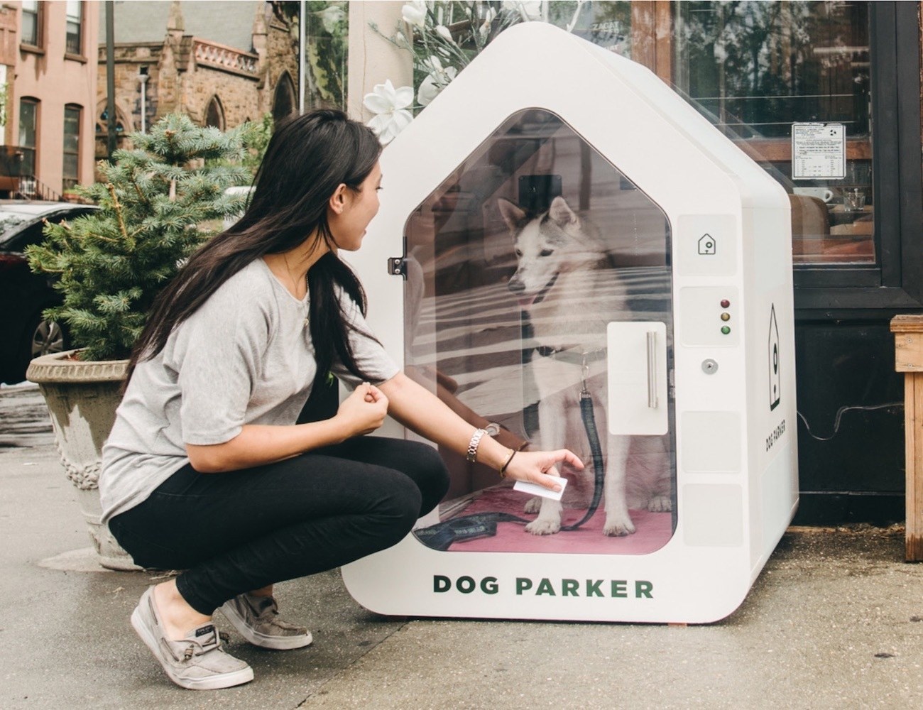 Dog Parker Smart Dog Houses » Gadget Flow