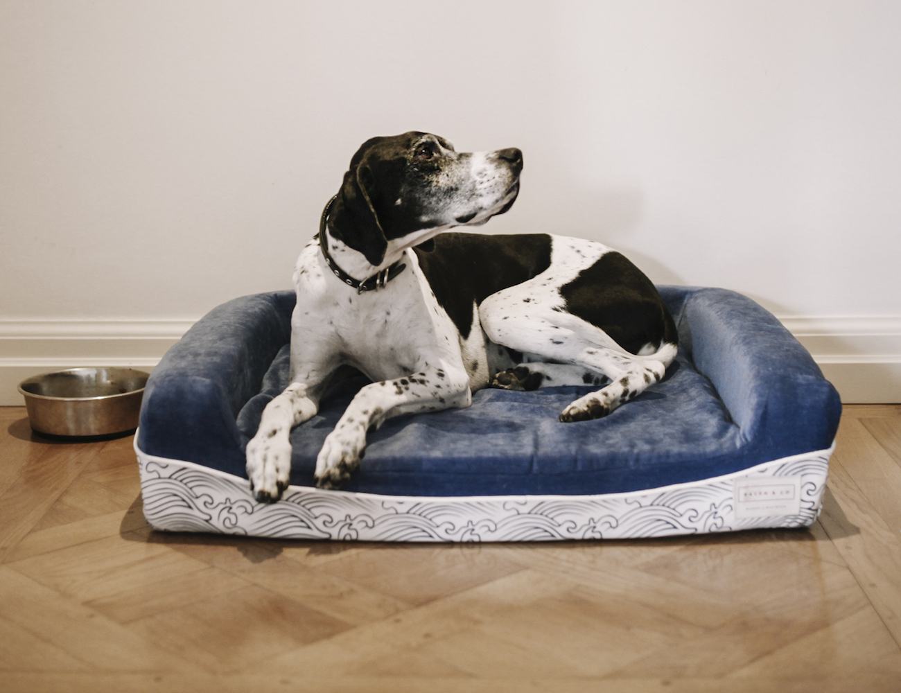 The World's Best Dog Bed by Ralph & Co » Gadget Flow