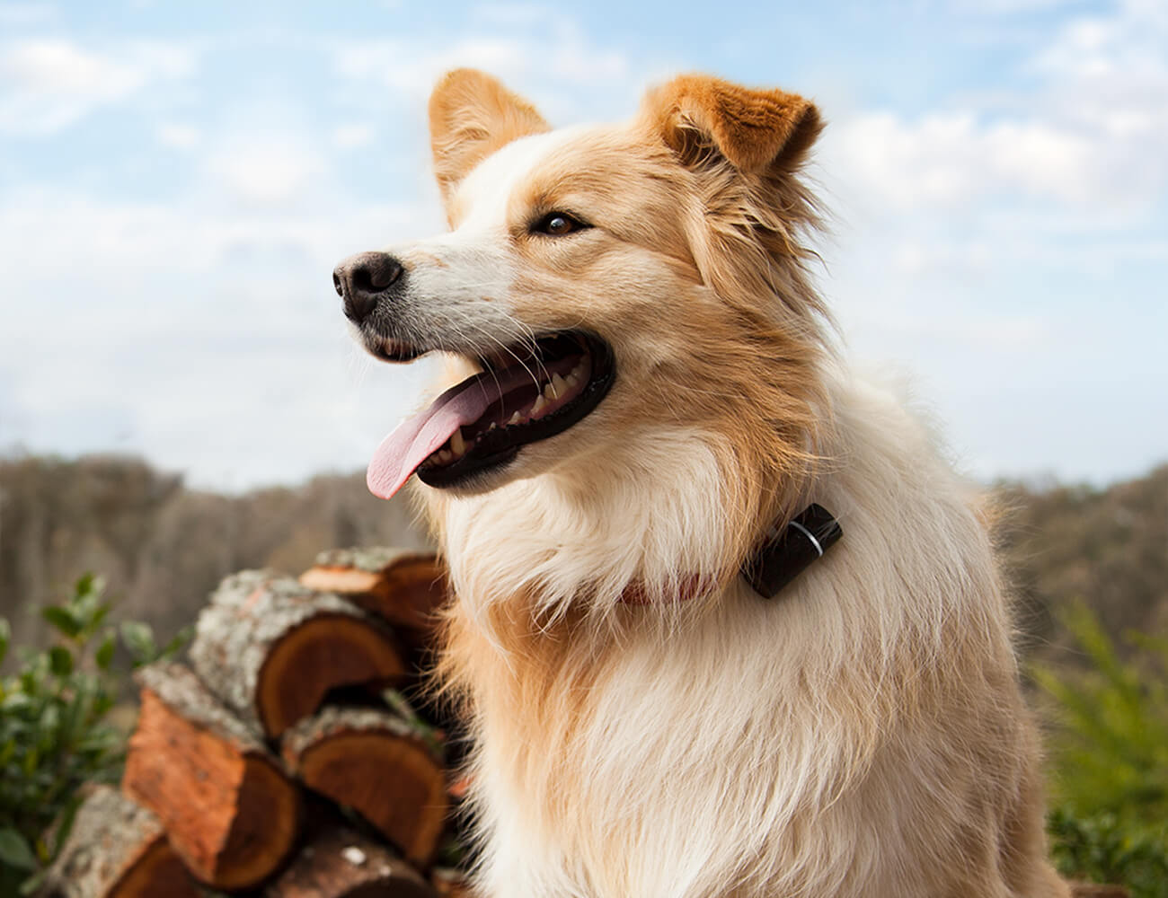 Pod 3 Customizable GPS Tracker » Gadget Flow