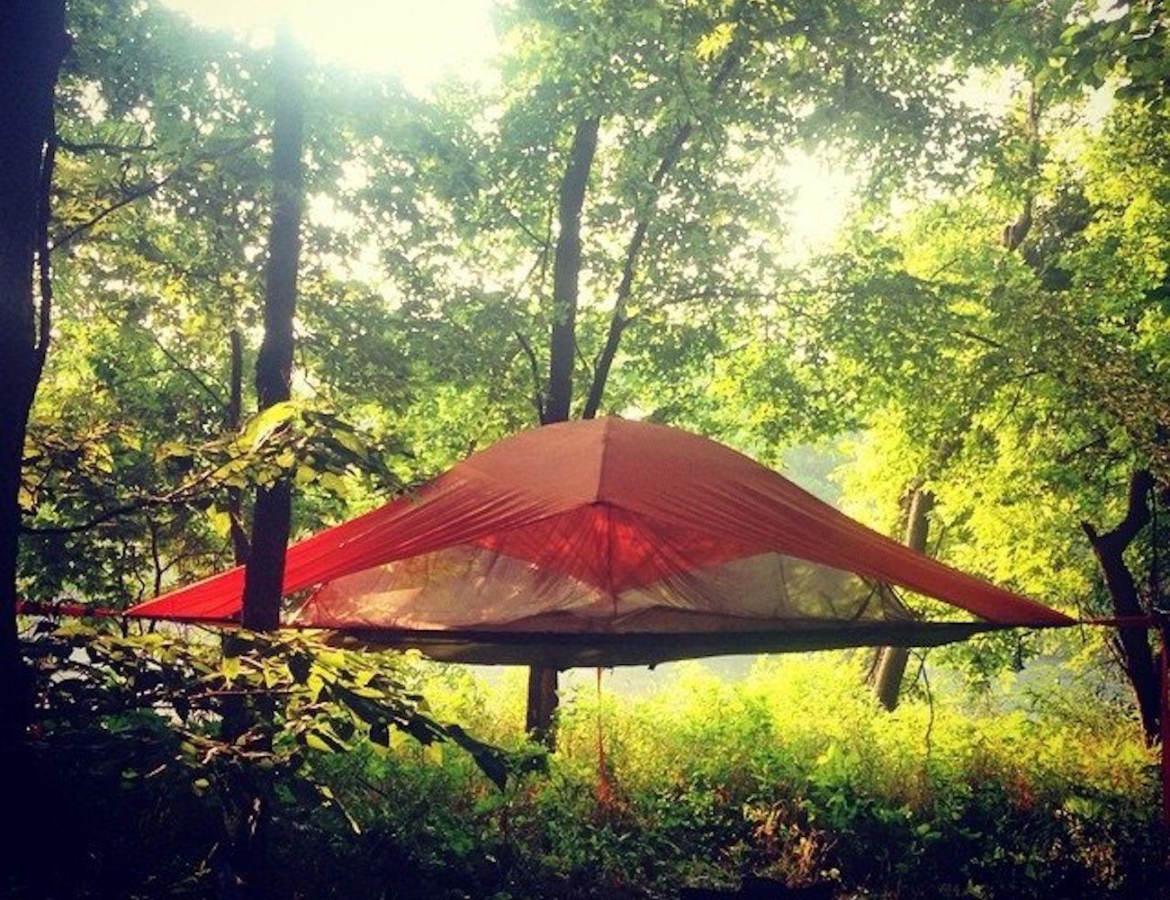Tentsile Vista Tree Tent » Gadget Flow