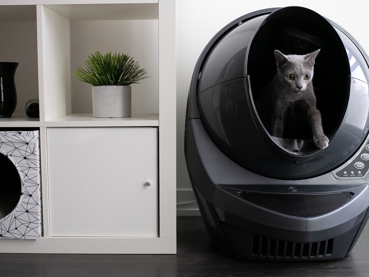 LitterRobot 3 Connect by Whisker automatic litter cleaner keeps your
