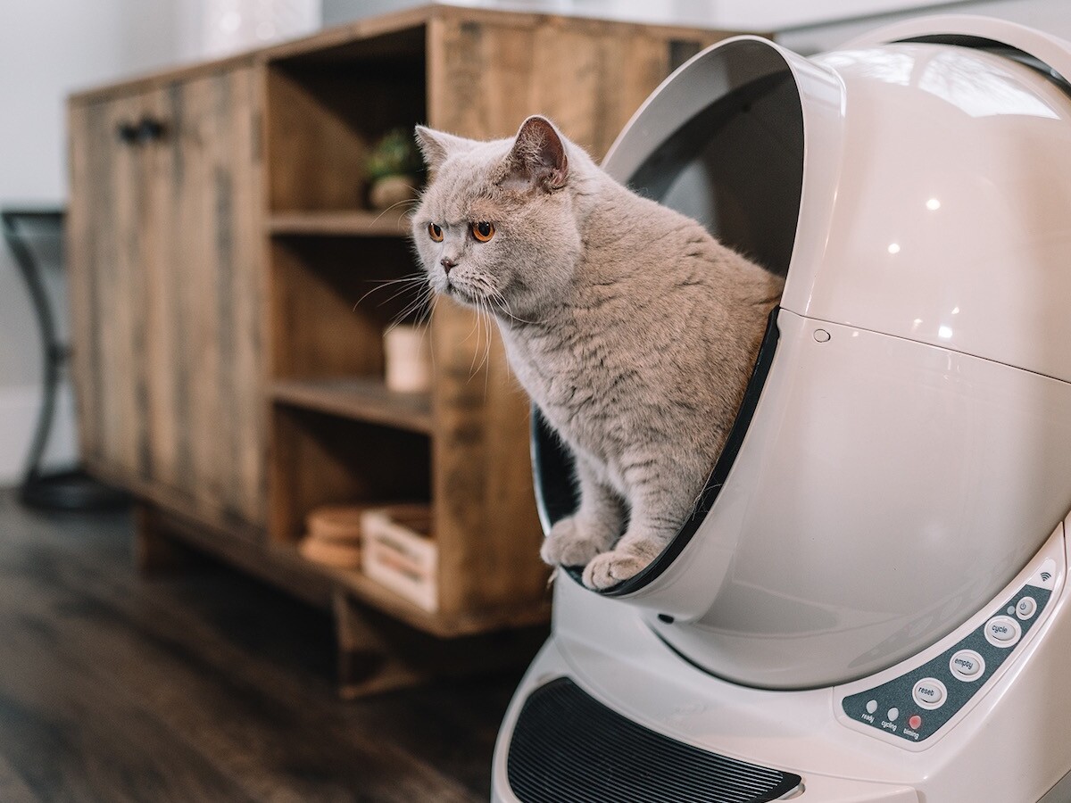 LitterRobot 3 Connect by Whisker automatic litter cleaner keeps your