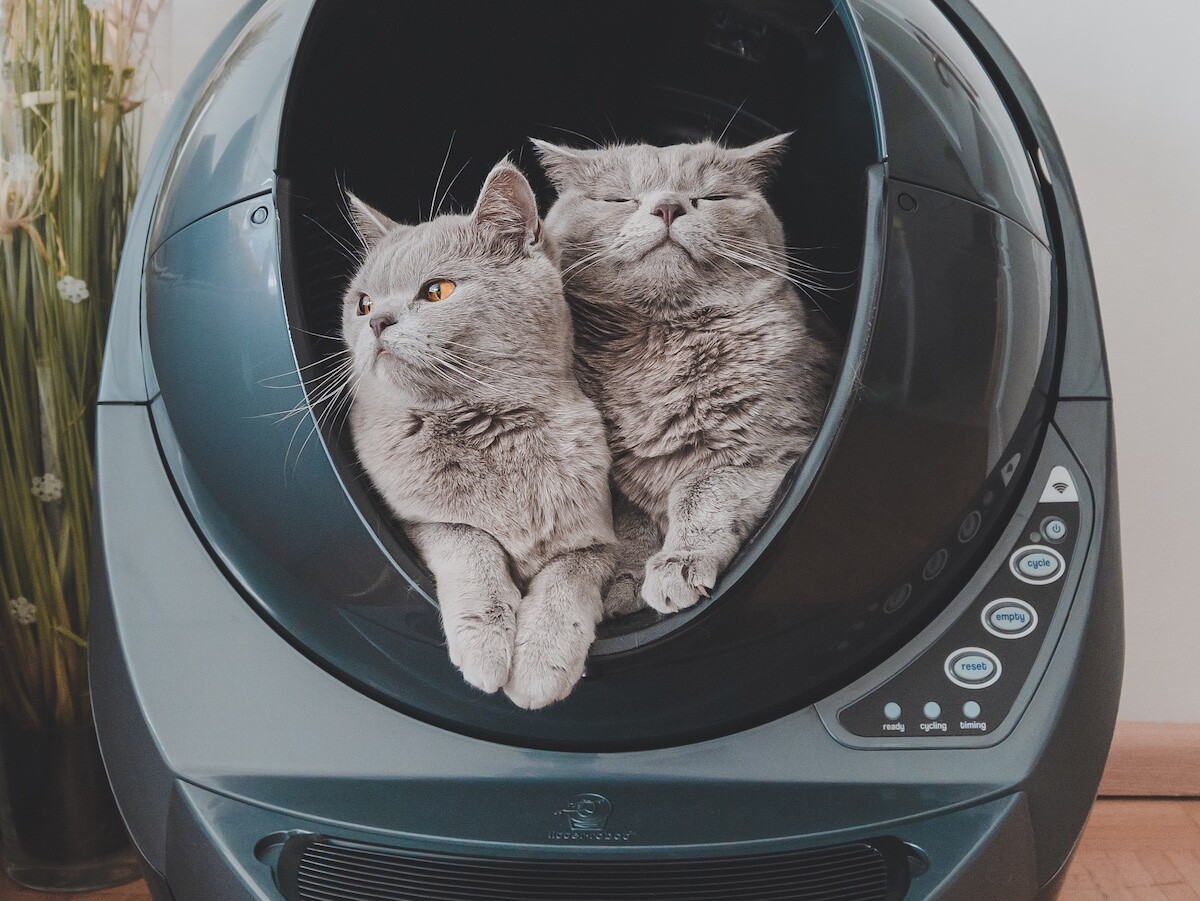 LitterRobot 3 Connect by Whisker automatic litter cleaner keeps your home fresh » Gadget Flow