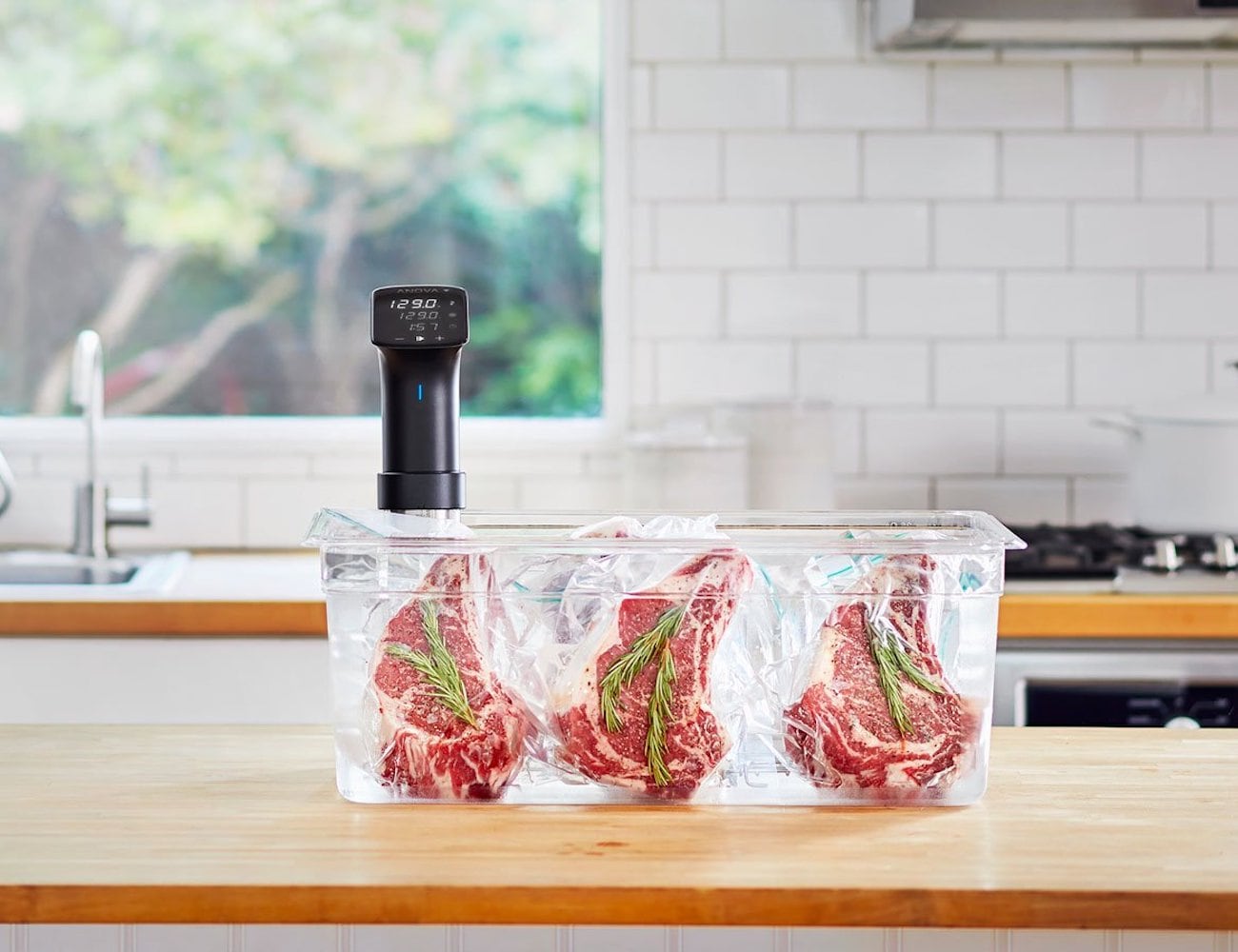 Anova Precision Cooker Pro sous vide device works for 10,000 hours nonstop
