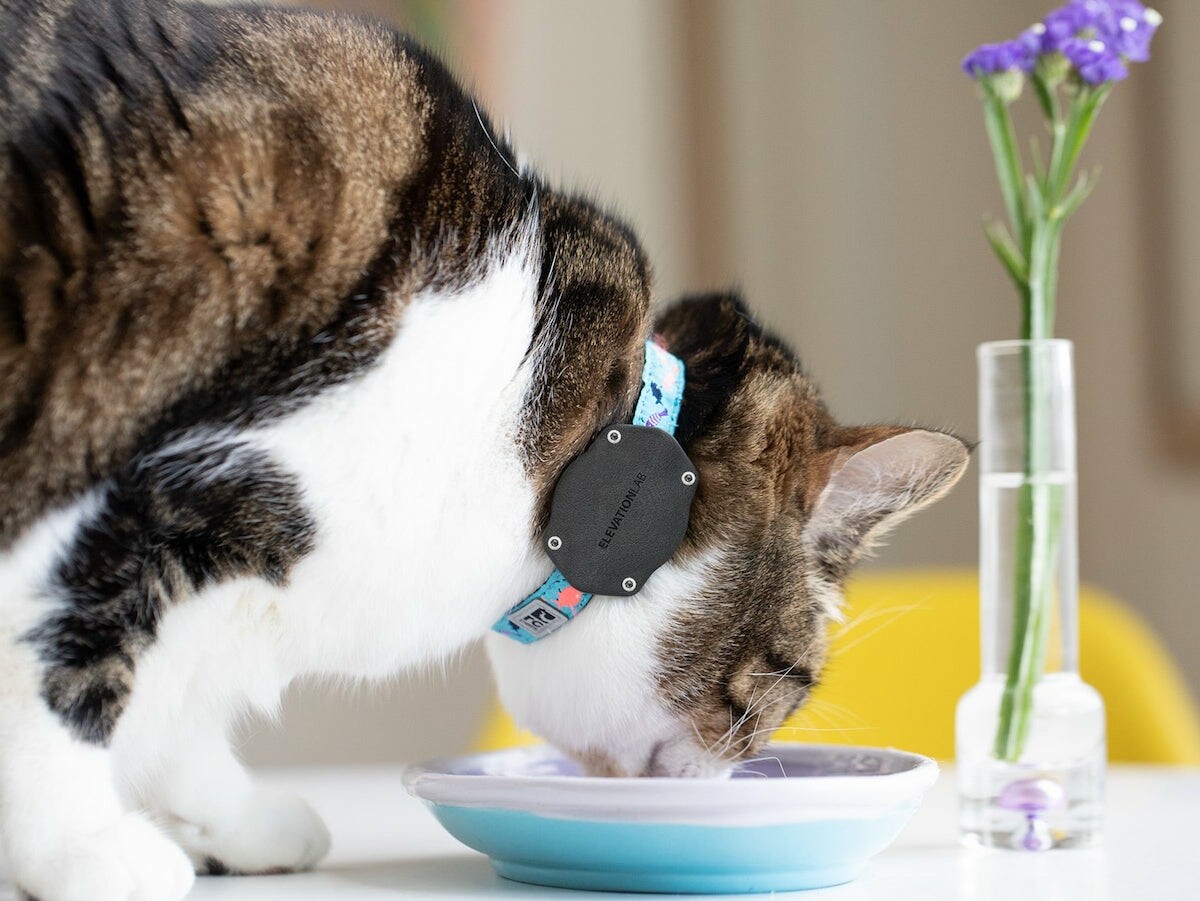 ElevationLab TagVault Pet AirTag mount attaches to a collar to track