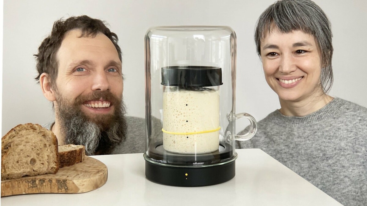 Review Goldie sourdough starter incubator keeps your starter active