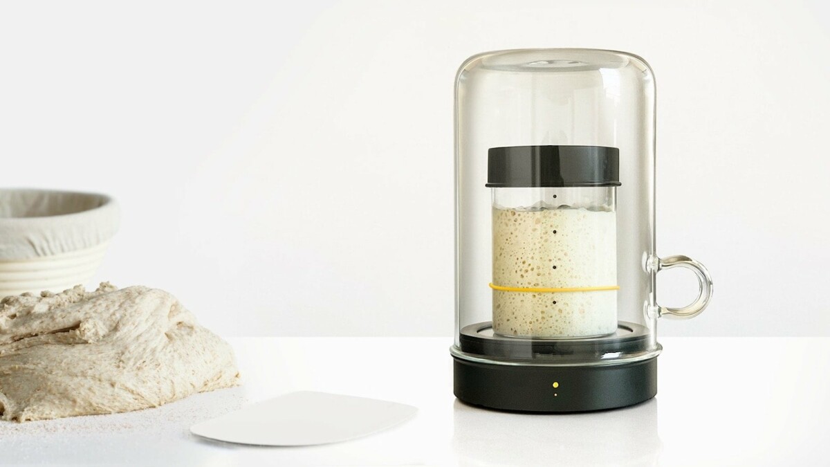 Review Goldie sourdough starter incubator keeps your starter active