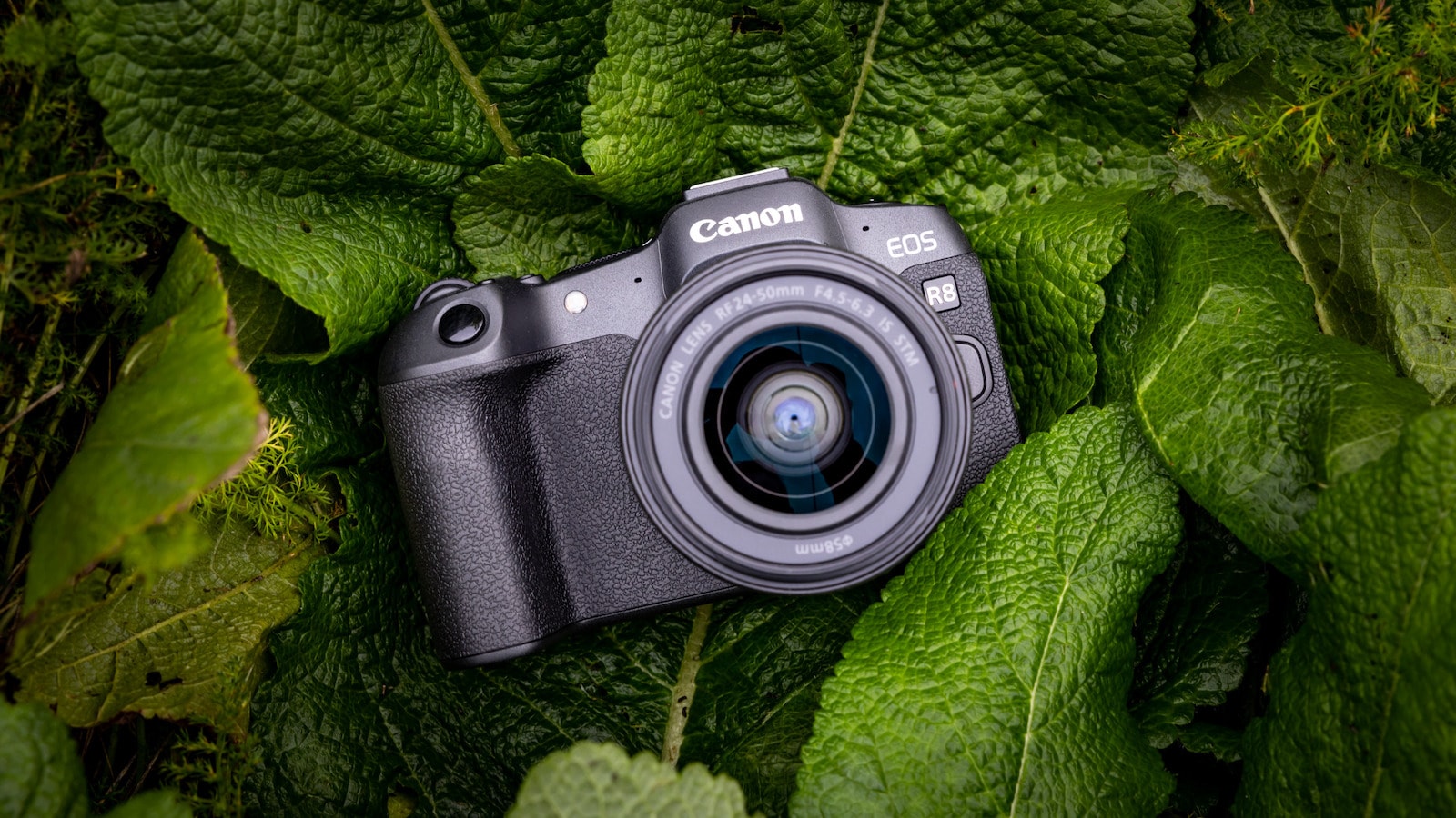 Canon EOS R8 fullframe mirrorless camera has a 24.2megapixel CMOS