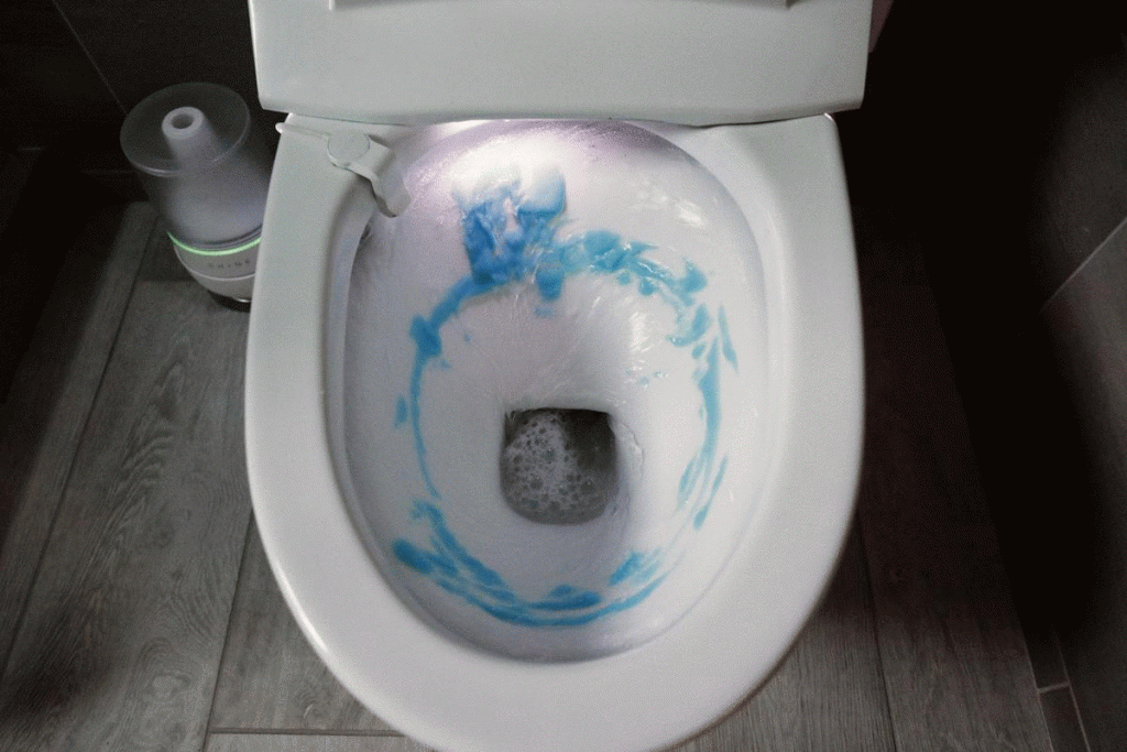 Shine Bathroom Assistant Review 2020 Read Before Buying!!! THE