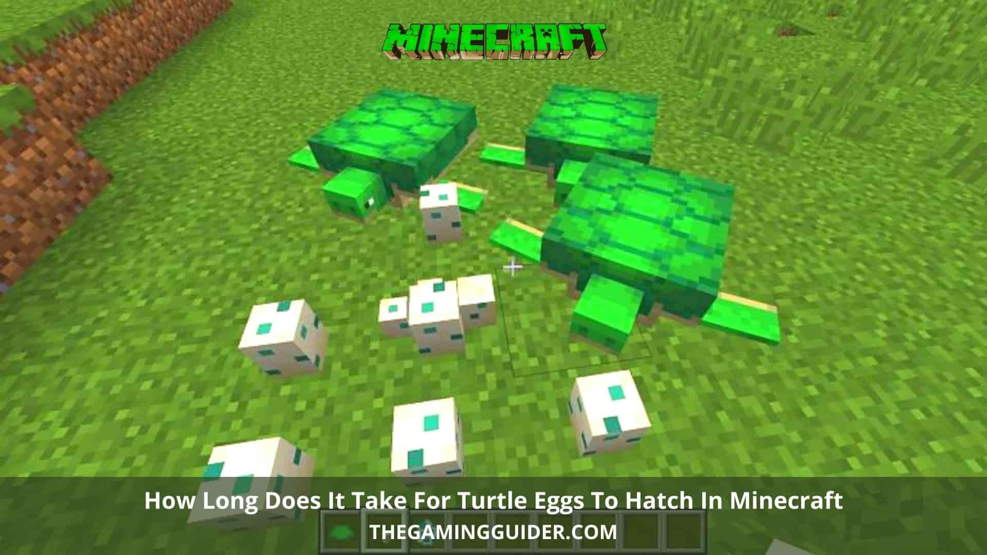 How Long Does It Take Turtle Eggs To Hatch Minecraft