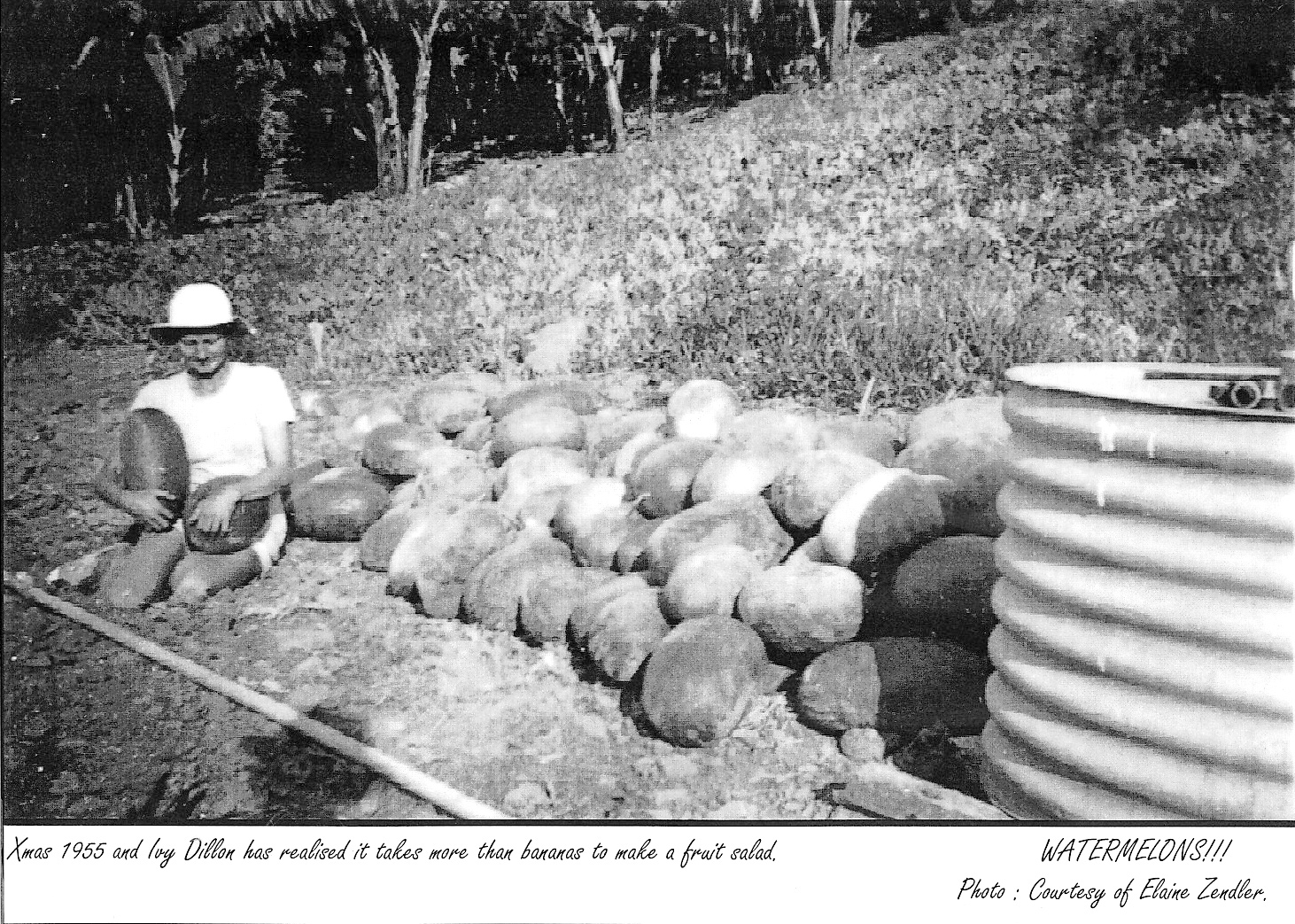 Food Producers for Brisbane Town The Gap Historical Society