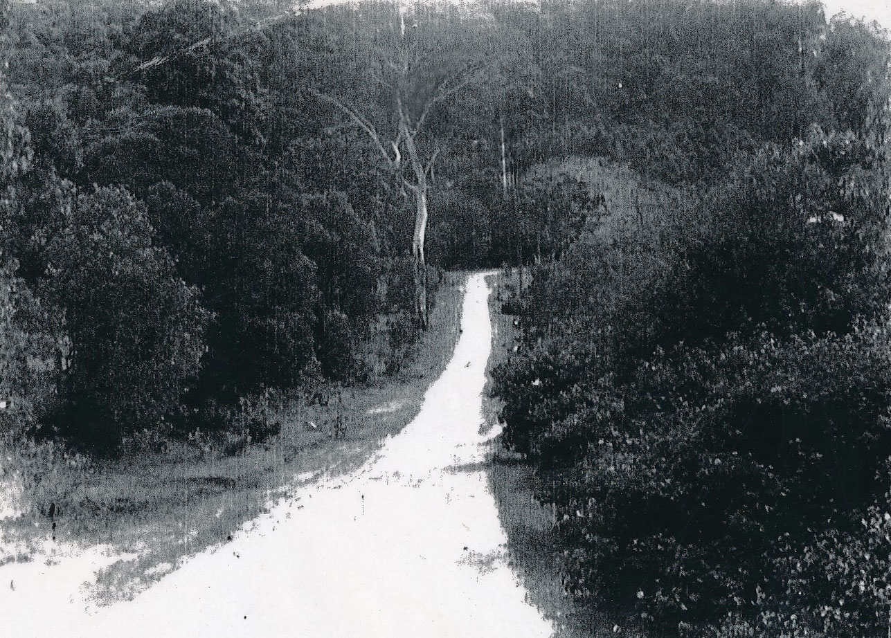 Settlement Road 1920s The Gap Historical Society