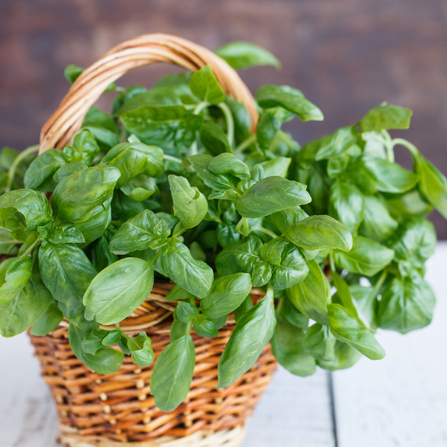 6 Best Herbs for Hanging Baskets Garden Beds