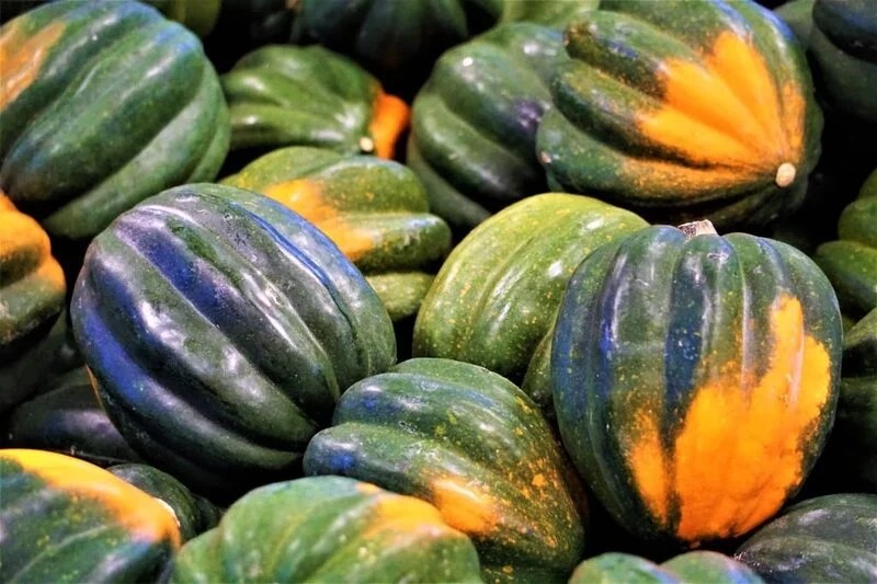 How to Tell if Acorn Squash Is Bad? The Garden Bug Detroit