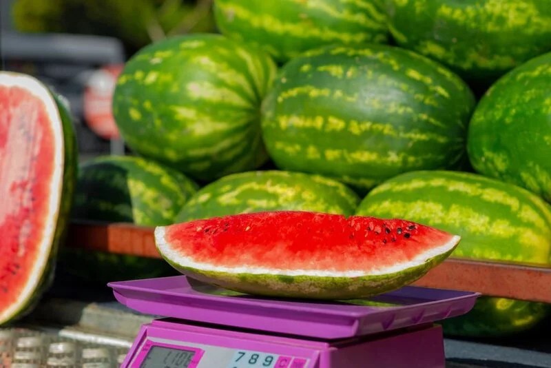 How Much Does the Average Watermelon Weigh? The Garden Bug Detroit