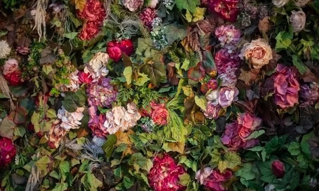 What to Do With Dead Flowers? The Garden Bug Detroit