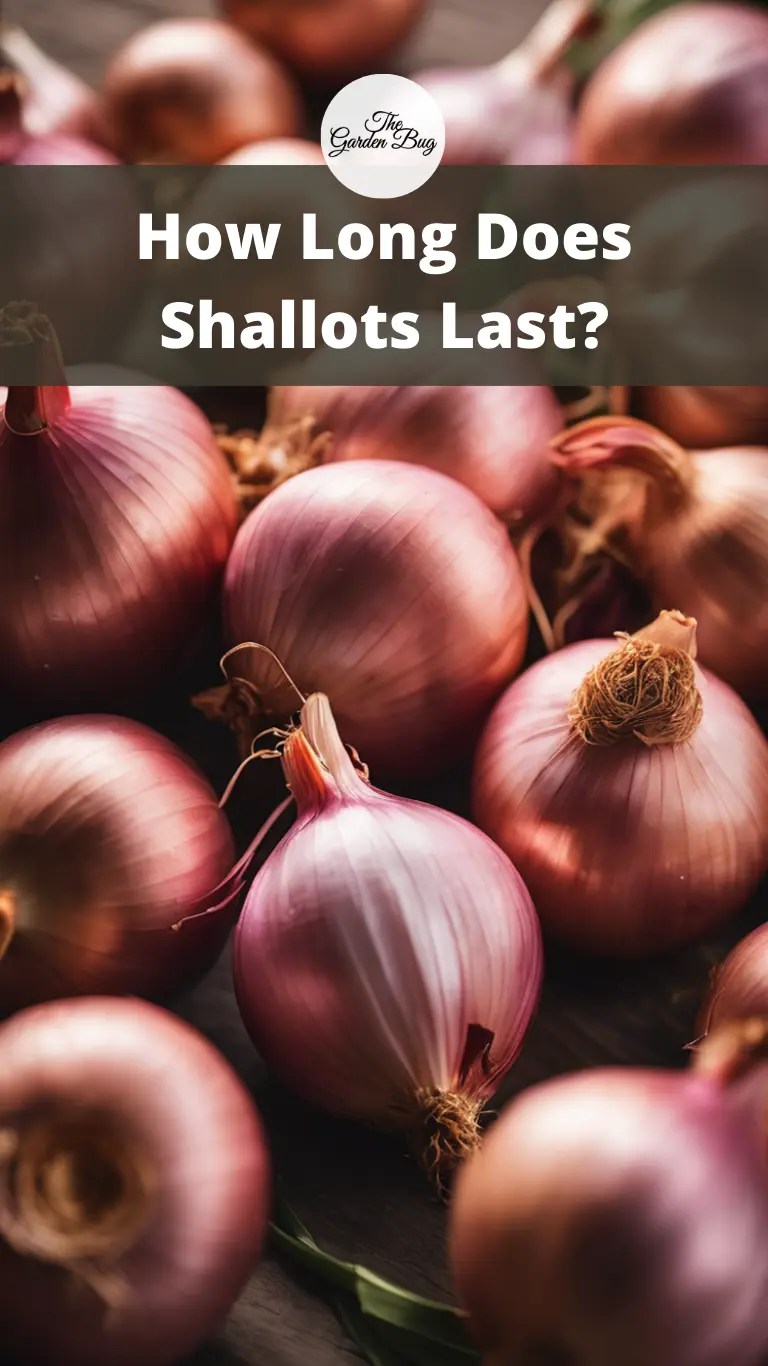 How Long Does Shallots Last? The Garden Bug Detroit