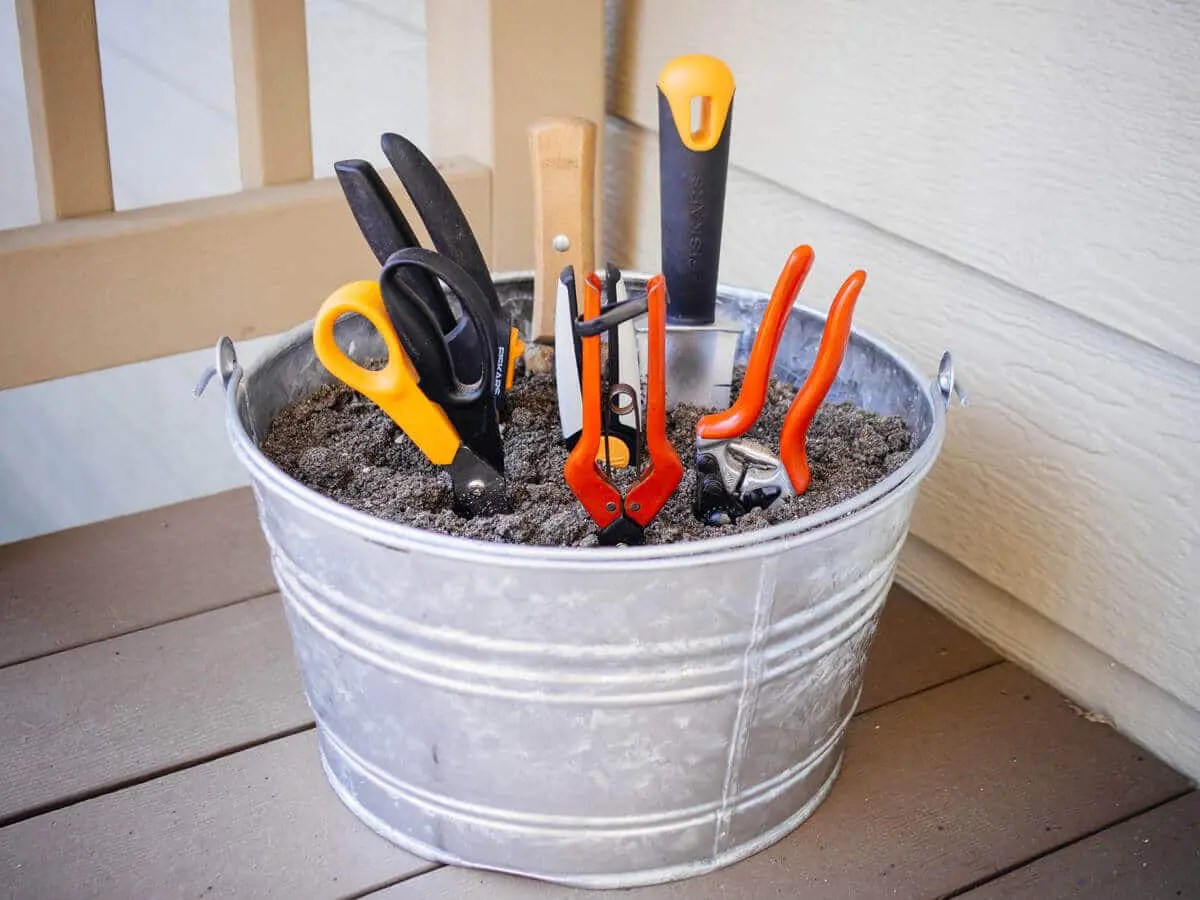 How to Keep Garden Tools from Rusting 4 Easy Guides (2024)