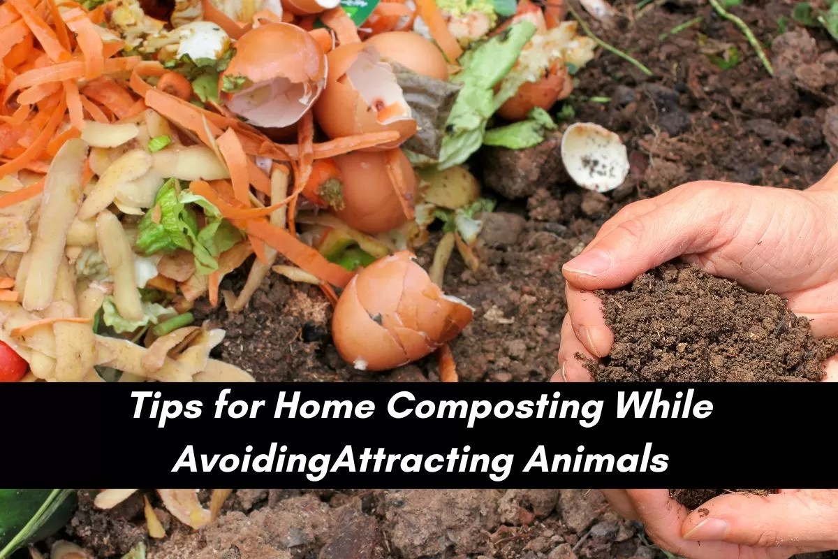 How To Compost Without Attracting Bears at Katy Gutierrez blog