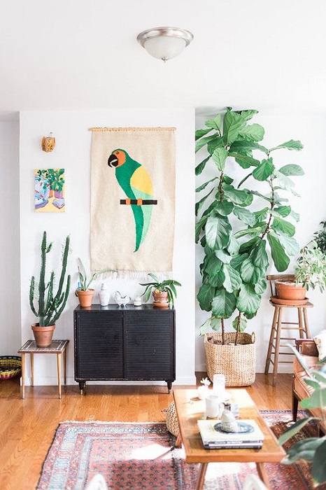 15 Smart Ideas To Fill Empty Space Using Tall Indoor Plants