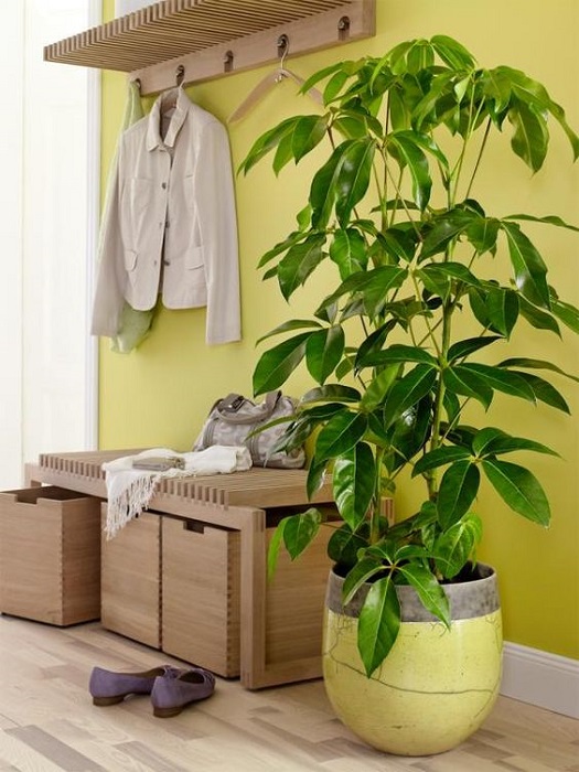 15 Smart Ideas To Fill Empty Space Using Tall Indoor Plants
