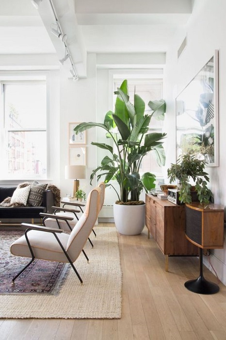 15 Smart Ideas To Fill Empty Space Using Tall Indoor Plants