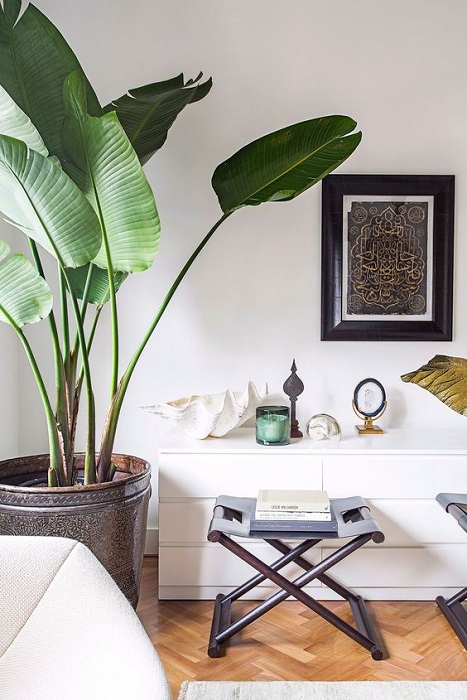 15 Smart Ideas To Fill Empty Space Using Tall Indoor Plants