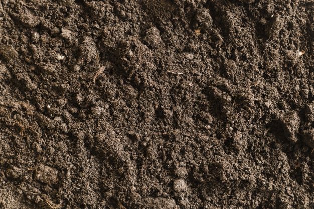 Investigate the soil