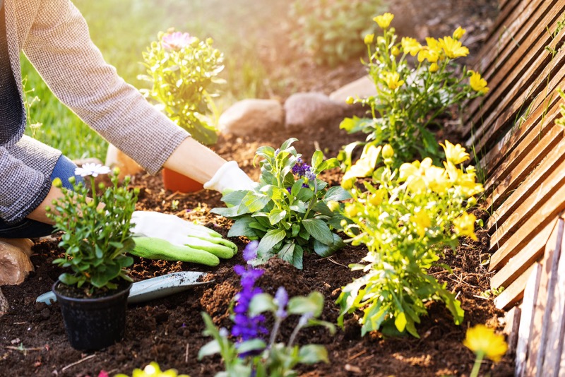 Get Your Garden Ready For Spring in Just 30 Days TheGardenGranny