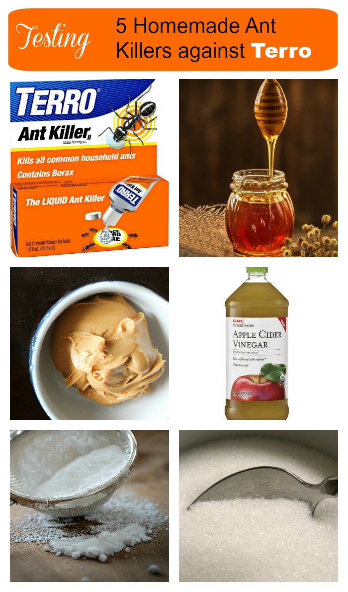 Ant Killers Testing 5 Different Natural Borax Ant Killers Against Terro