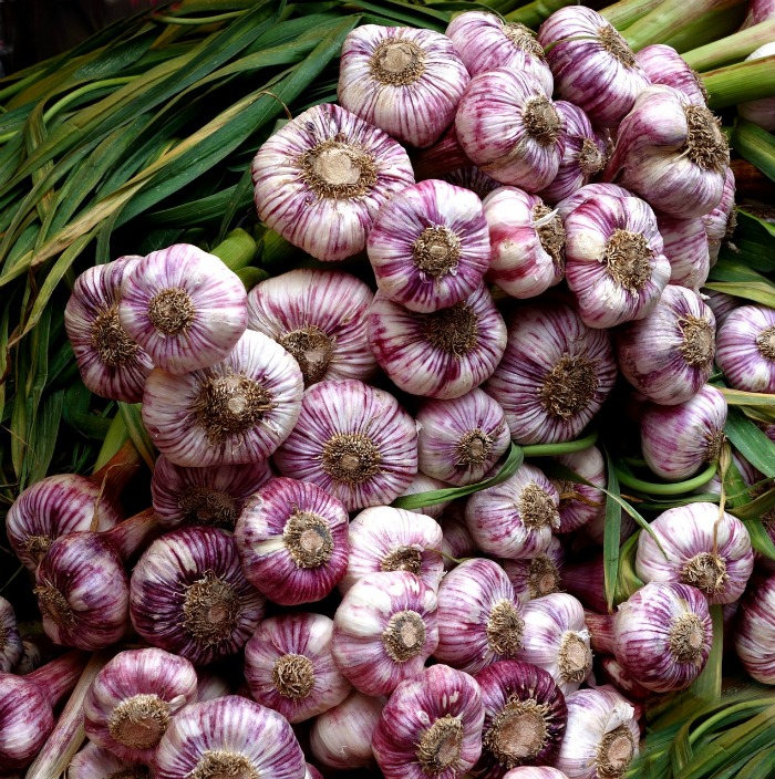 Cold Hardy Vegetables let You Get a Head Start on Spring