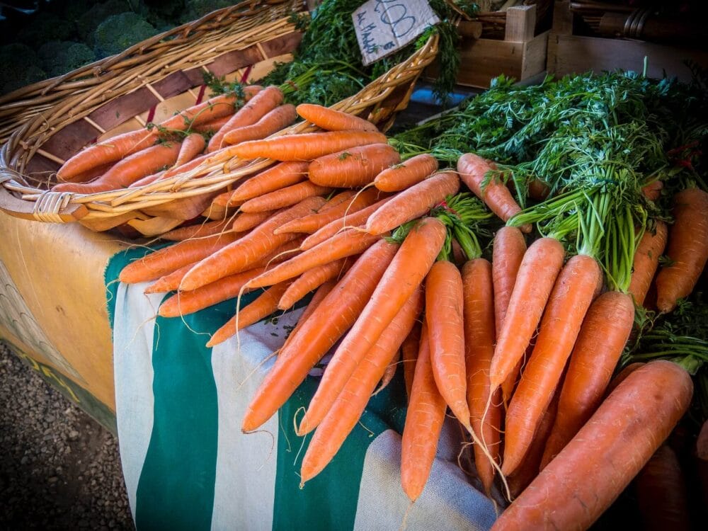 10 BEST Vegetables to Grow in Tennessee Winter (2023 Guide) The