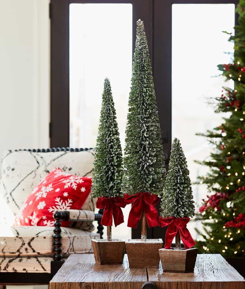 Holiday Home Decor, Holiday Tabletop Decor, Holiday Winter > Potted